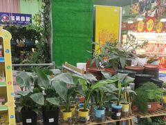 -大润发(张江店)