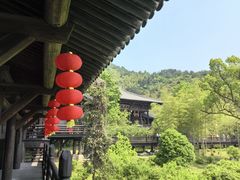 -大唐贡茶院