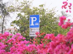 -龙舟池