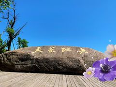 -江南天池