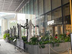 -gaga(深圳福田星河COCO Park店)