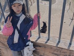 -哈尔滨北方森林动物园