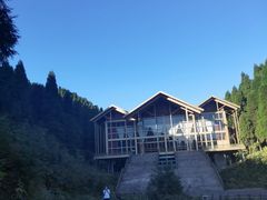-武陵山森林公园