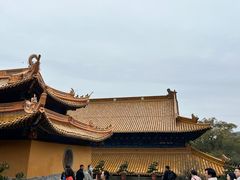 -普陀山风景名胜区-法雨禅寺