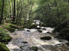 -牛背梁国家森林公园