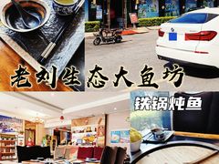 -老刘生态大鱼坊铁锅炖鱼(赛马场店)