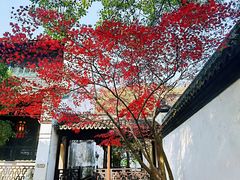 -浙江省博物馆(孤山馆区)