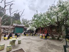 -宫事颐庭·老佛爷贵寿下午茶(颐和园店)