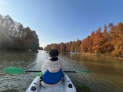 -上海海湾国家森林公园