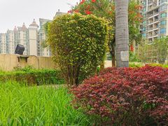 -德尚口腔(金碧店)