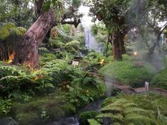 -Chom Cafe and Restaurant