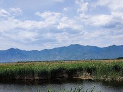-野鸭湖国家湿地公园