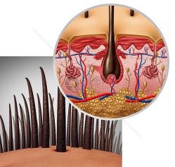 -Bollins波林丝•专研护发中心