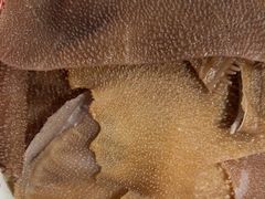 -楠火锅(仁恒梦中心店)