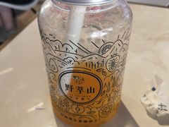 -野萃山·潮汕厚果汁(十亩地店)