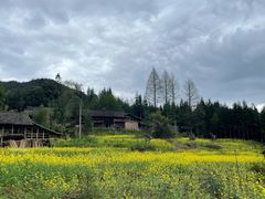 -瓦屋山景区