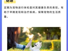 -康成宠物医院24H·CT·核磁共振