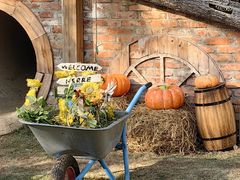 -HERRE·FARM 赫尔露营农场·团建聚会包场