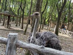 -昆山城市生态森林公园