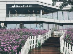 -猫的天空之城概念书店(北戴河蔚蓝海岸店)