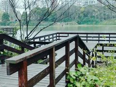 -新江湾城公园