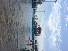上海玛雅水公园-上海玛雅海滩水公园