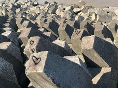-上海滨江森林公园