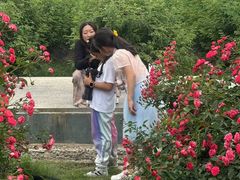 -亚龙湾国际玫瑰谷