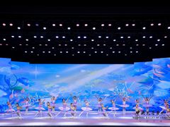 -中央芭蕾舞团·中芭艺蕾(酒仙桥明星校区)