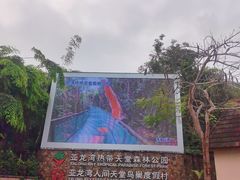 -亚龙湾热带天堂森林公园