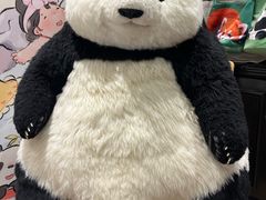 -轩客会(熊猫书店)