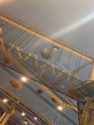 -卡通尼·Safari非洲探索乐园·生日会(金桥国际商业广场店)