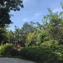 -莲生母婴月子中心(清水河公园店)