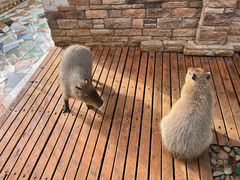 -昆明动物园