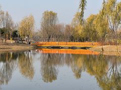 -东郊湿地公园