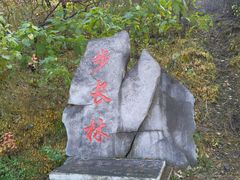 -北京十三陵国家森林公园蟒山景区