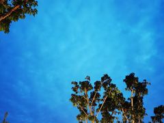 -悦见花开·花园里的火锅·露营·下午茶