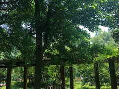 -徐家汇源景区-衡山公园
