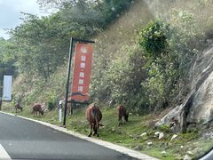 -兴隆华侨农场