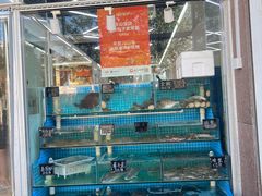 -北戴河庆山饭店·海鲜砂锅粥(北戴河黑石路店)