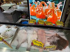 -渔娘渔家丹东海鲜(东直门店)