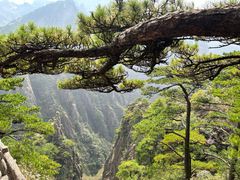 -黄山风景区