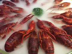 -红盔甲·小龙虾(天钥桥店)