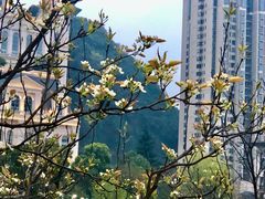 -花果园湿地公园