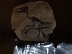 -Xcape异时刻密室逃脱魔法互动(瑞虹天地太阳宫店)