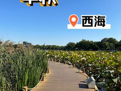 -郭守敬纪念馆