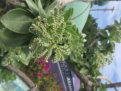 iphone_upload_pic-台湾最南点