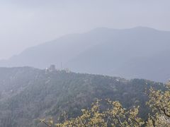 -香山公园