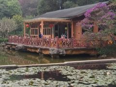 -云溪植物园