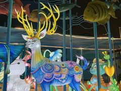 -海合安武汉极地海洋公园